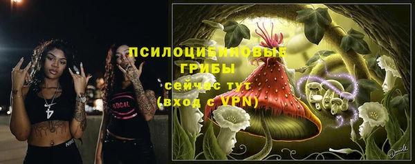 PSILOCYBIN Семёнов