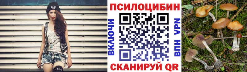 Галлюциногенные грибы Psilocybine cubensis сколько стоит kraken как войти Зеленогорск